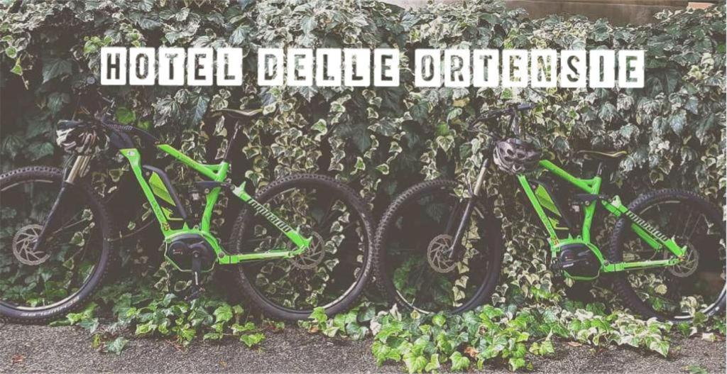 Hotel Delle Ortensie Fiuggi Eksteriør bilde
